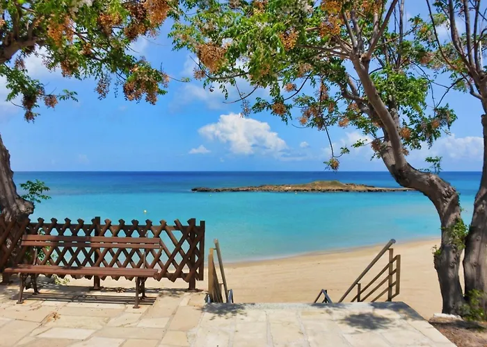 Fig Tree Two ヴィラ パラリムニ